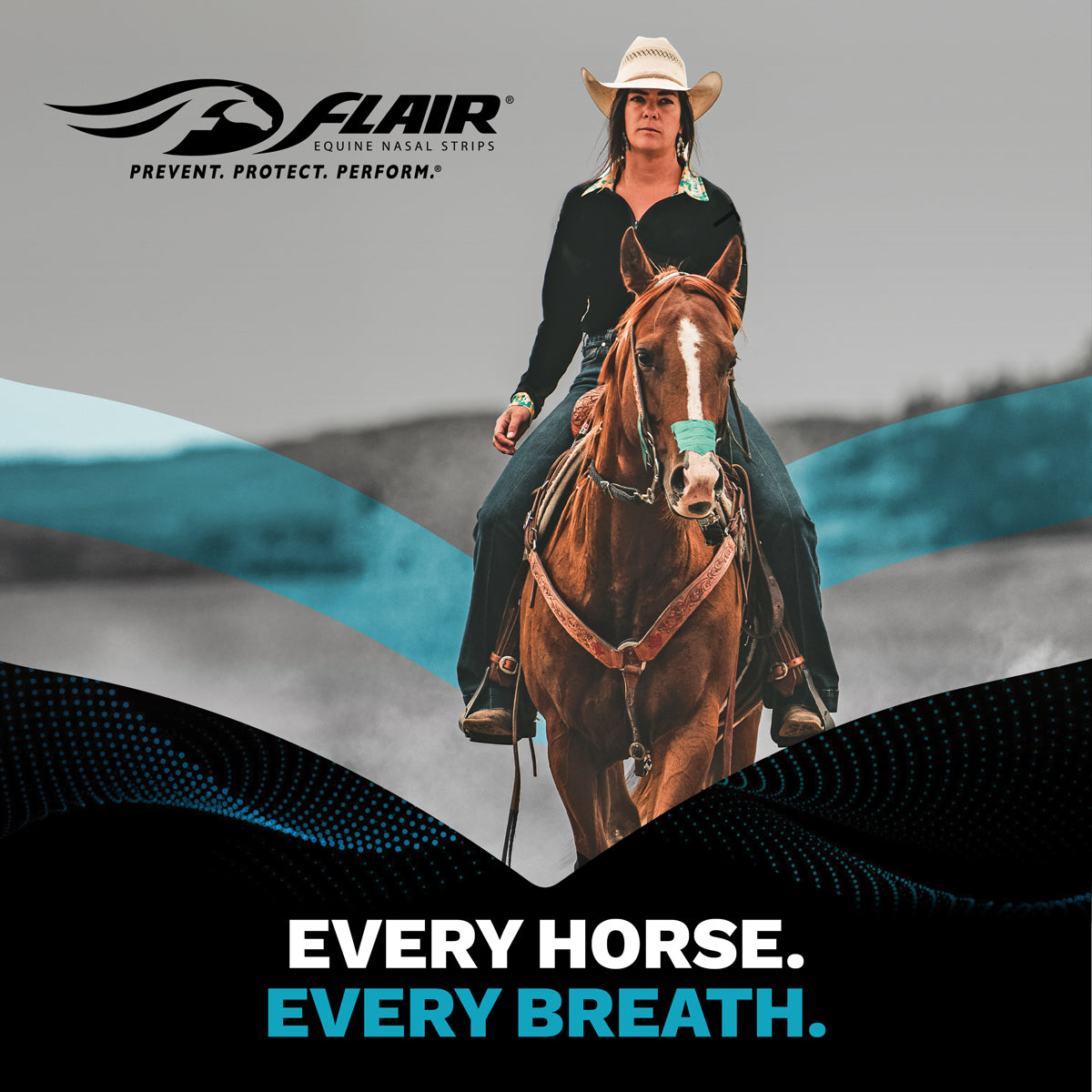 Equine Nasal Strips