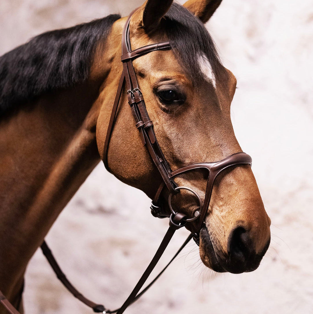 BHOOF Eyewear 3 Slim Sport - STRĒID. 425g Y-fit bridle for horse comfort, soft padding ears, steady bit feel, compatible