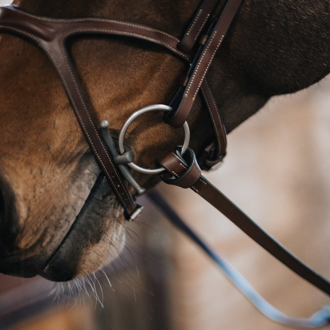 BHOOF Eyewear 3 Slim Sport - STRĒID. Safety grip reins with leather loops instead of buckle, large stoppers for martingale clearance