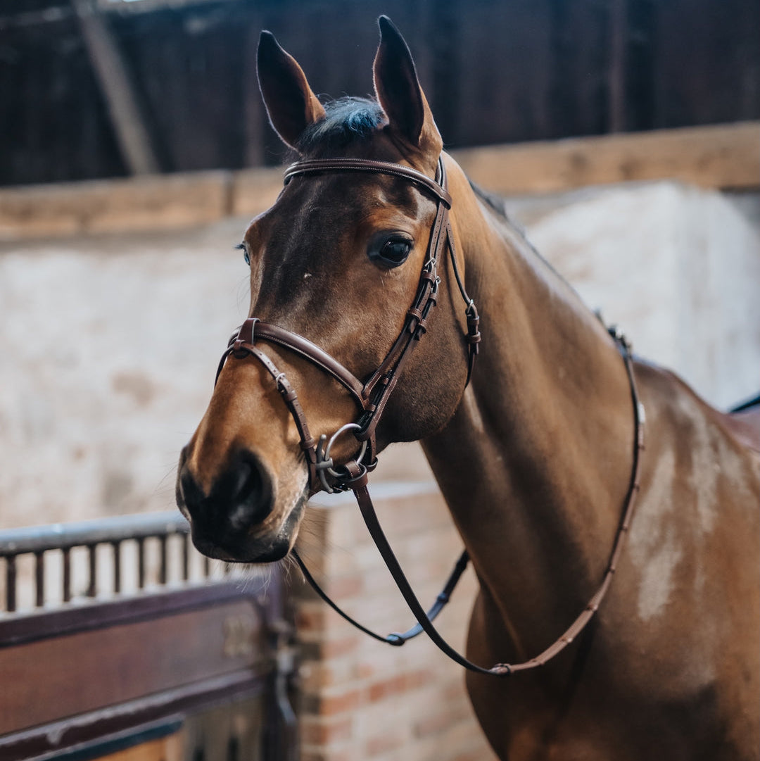 BHOOF Eyewear 3 Slim Sport - STRĒID. Vegetable-tanned lightweight bridle 405g, adjustable back padding noseband, no forward headpiece pull.
