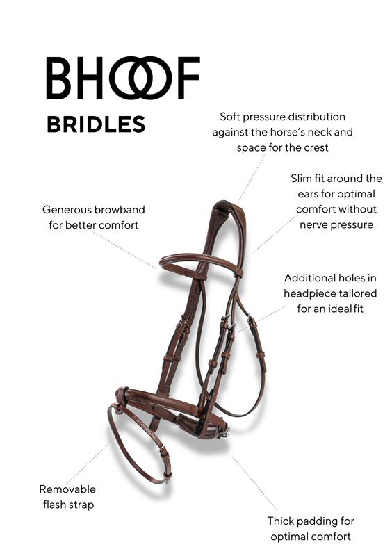 Bhoof Bridle 1 Flash