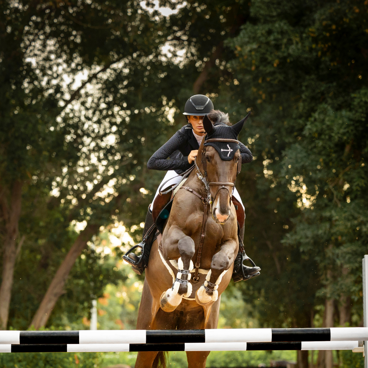 Fly Head Swarovski in Black by LAGUSO - Strēid. Premium horse fly hood with Swarovski details and LAGUSO embroidery