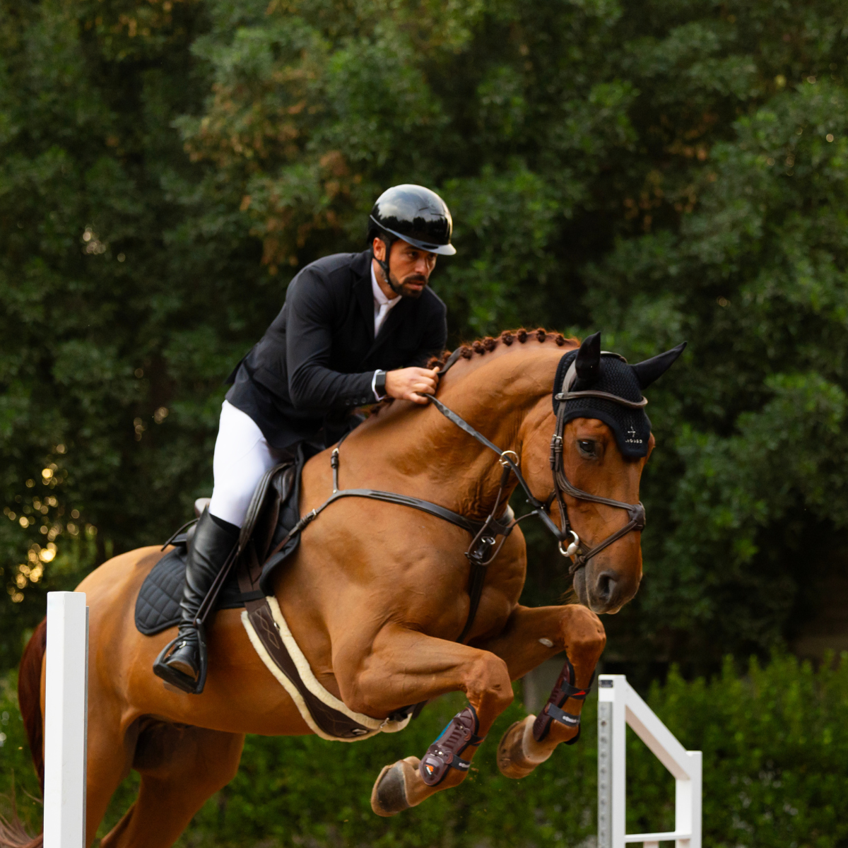 Fly Head in Black by LAGUSO - Strēid. Premium horse fly hood with classic Laguso logo embroidery.