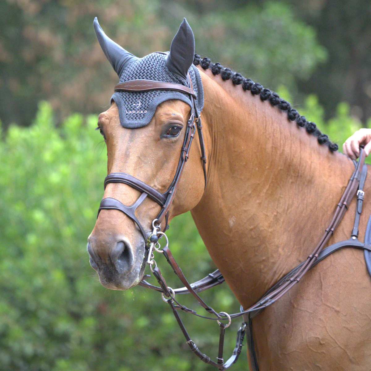 Fly Head in Grey by LAGUSO - Strēid. Premium horse fly hood with LAGUSO logo embroidery for equestrian protection and style.