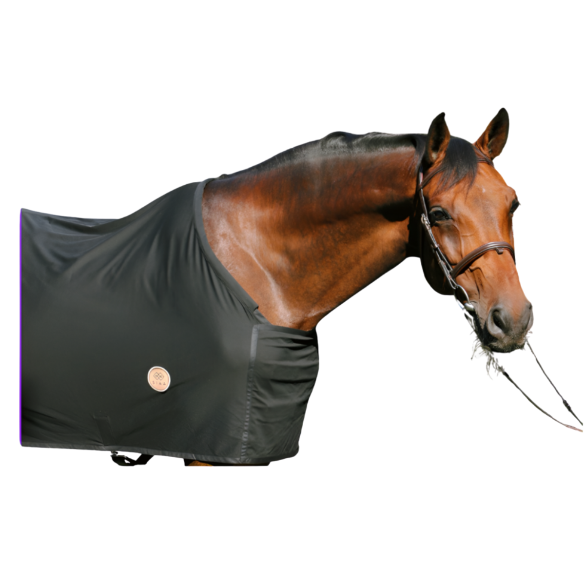 Tech'Rug Blanket by SIAA - Strēid. Breathable, durable horse blanket with thermal regulation for equestrian comfort