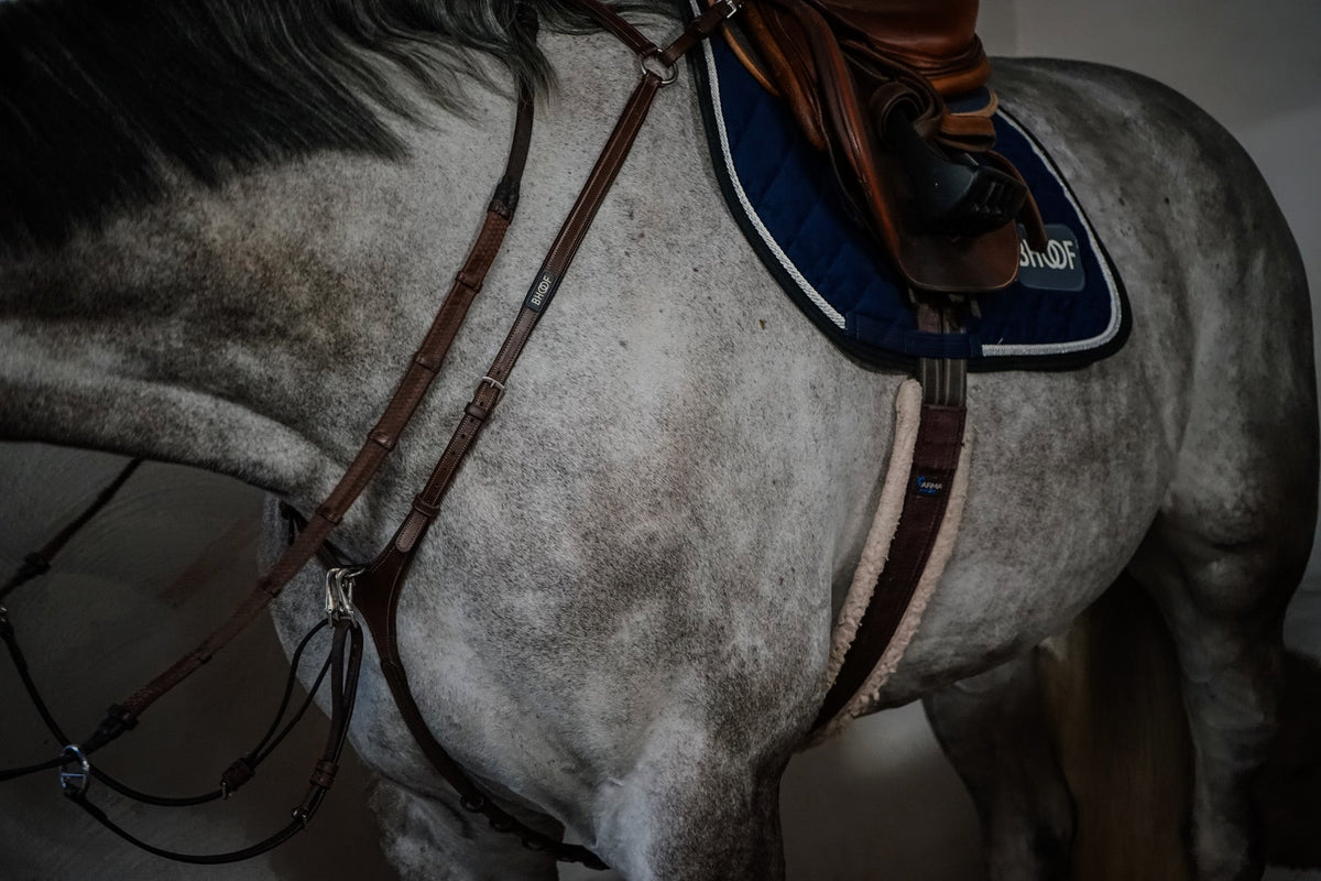 STRĒID meets showjumping hero and BHOOF Founder, Peder Fredricson