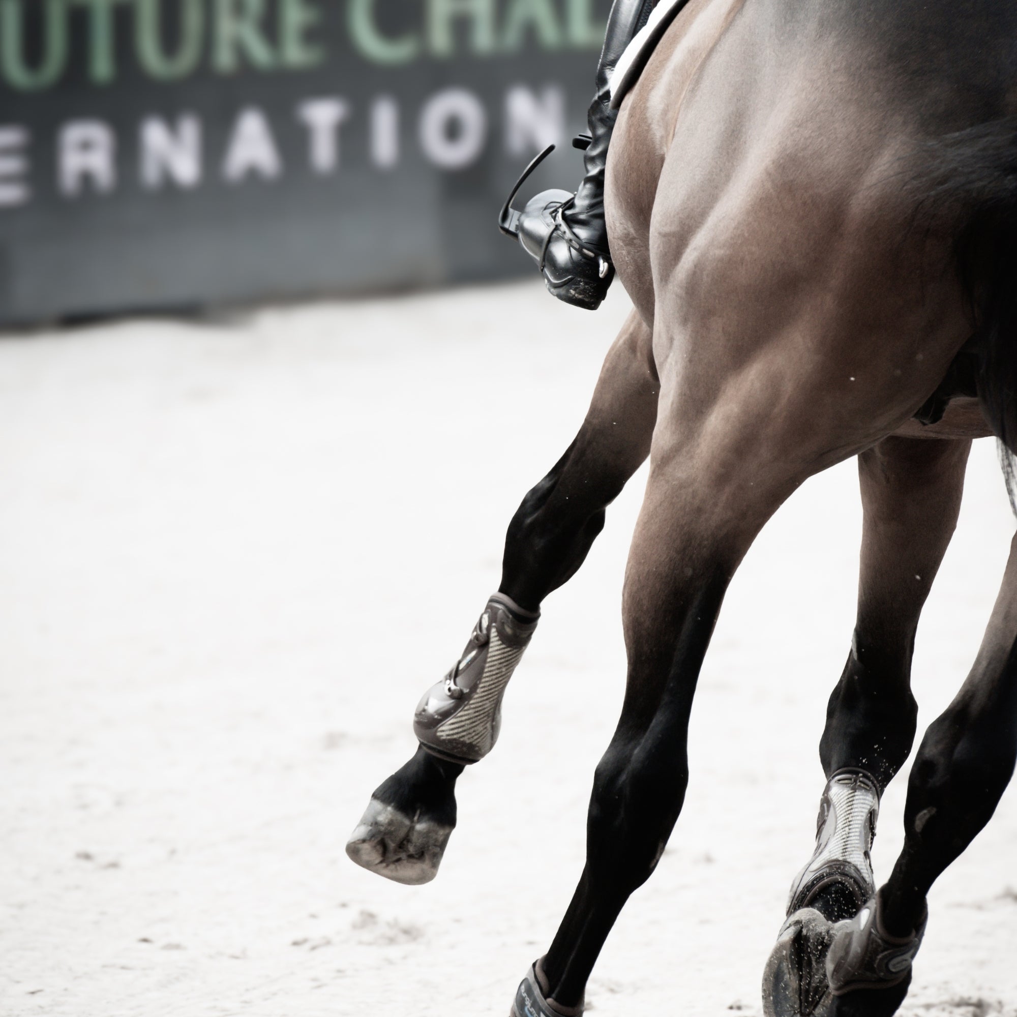 Adjustable Stirrups in Black by RYDE - Strēid. Equestrian stirrups with magnetic safety release and adjustable design

