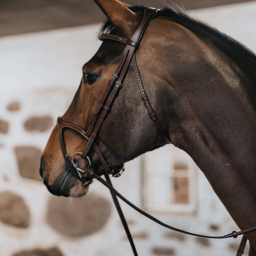 BHOOF Eyewear 3 Slim Sport - STRĒID. Bhoof Rein 1 Safety – shorter distances between stoppers, safer shorter length, vegetable-tanned care.