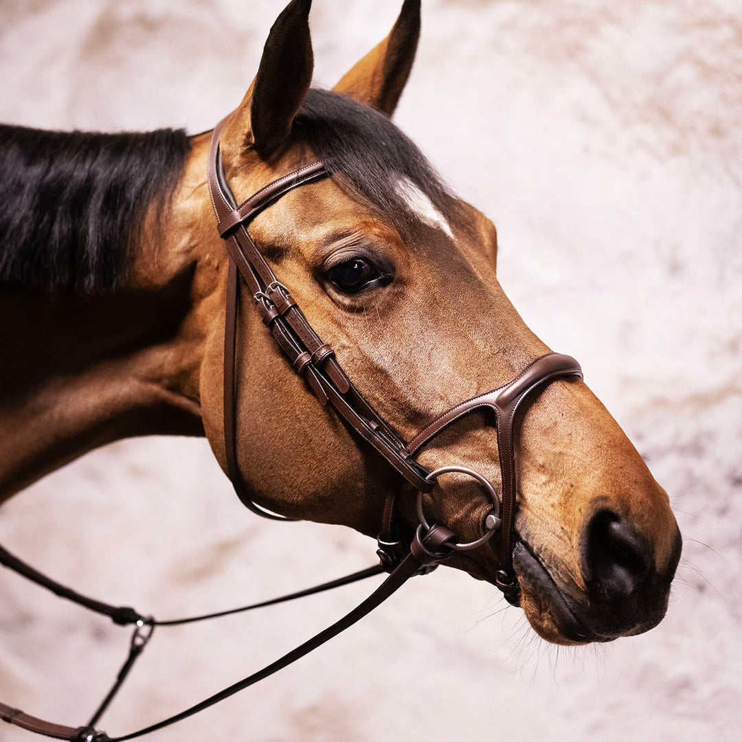 BHOOF Eyewear 3 Slim Sport - STRĒID. High-performance safety rubber reins 16/22 mm, leather loops, no buckle harshness.