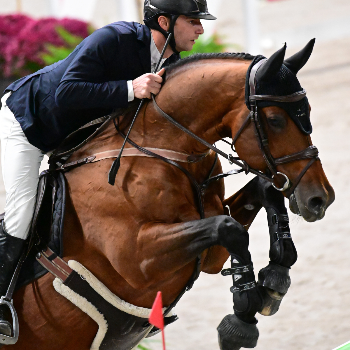 Fly Head in Black by LAGUSO - Strēid. Premium horse fly hood with classic Laguso logo embroidery.

