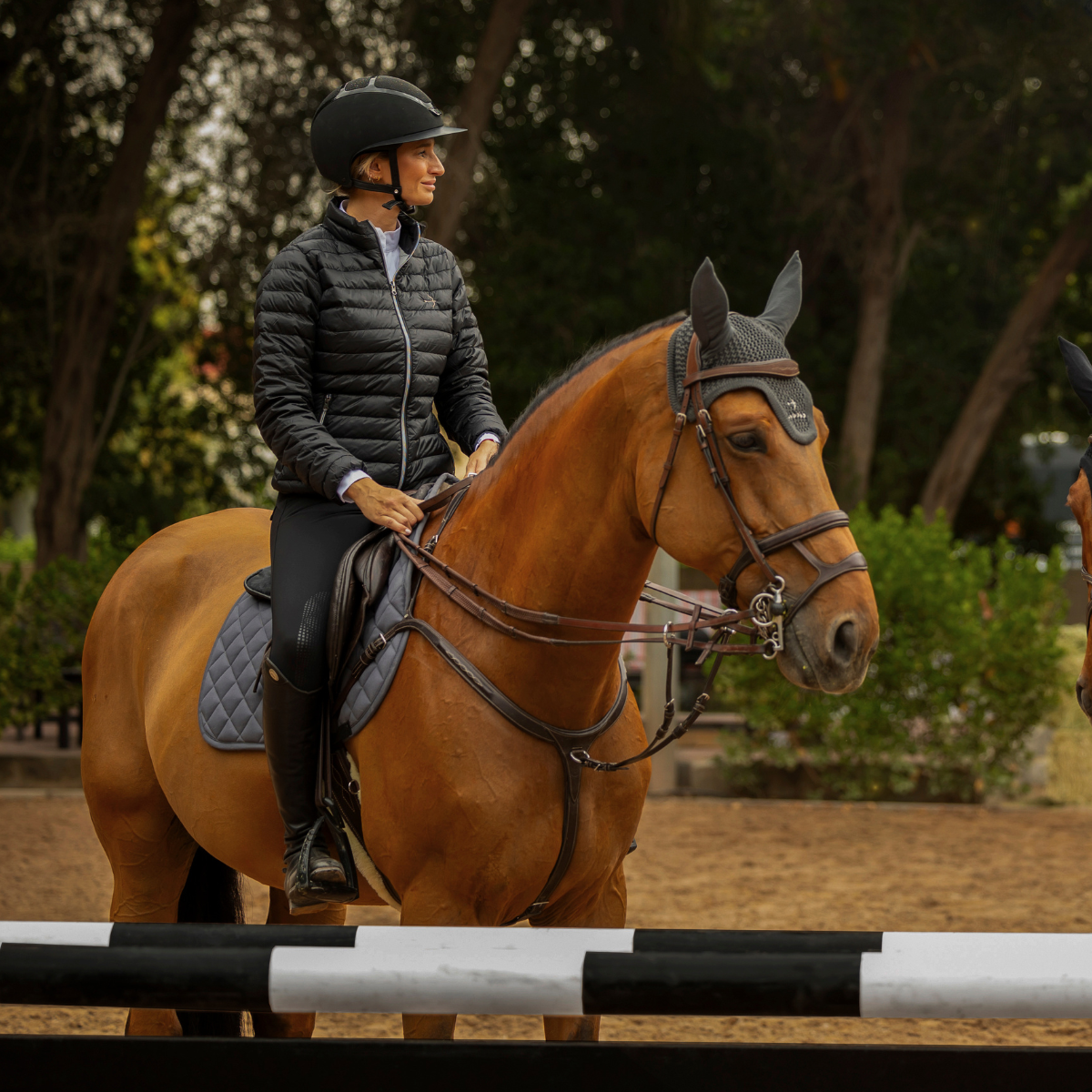 Fly Head in Grey by LAGUSO - Strēid. Premium horse fly hood with LAGUSO logo embroidery for equestrian protection and style.

