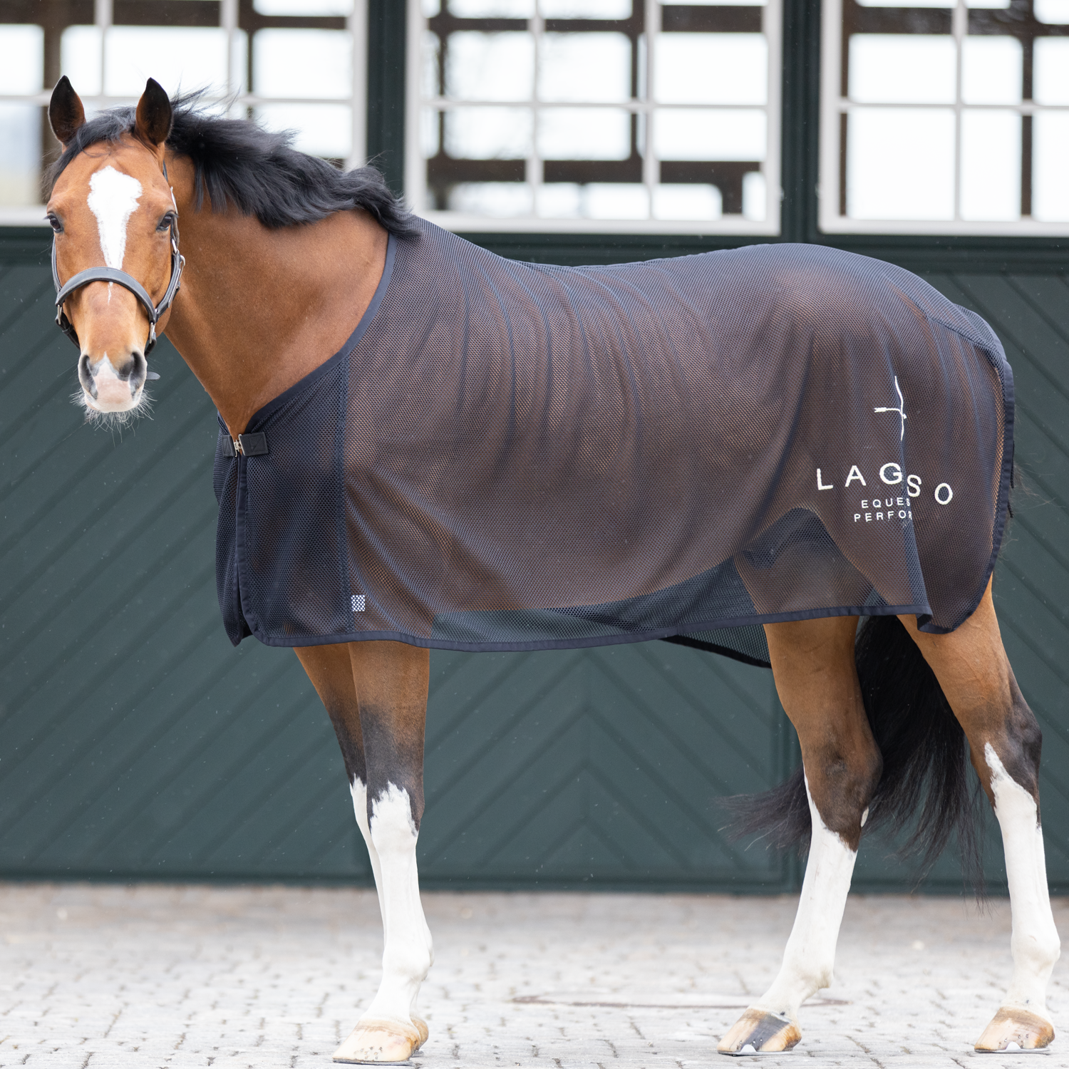 Fly Rug in Black by LAGUSO - Strēid. Premium equestrian fly blanket with buckle closure and LAGUSO embroidery

