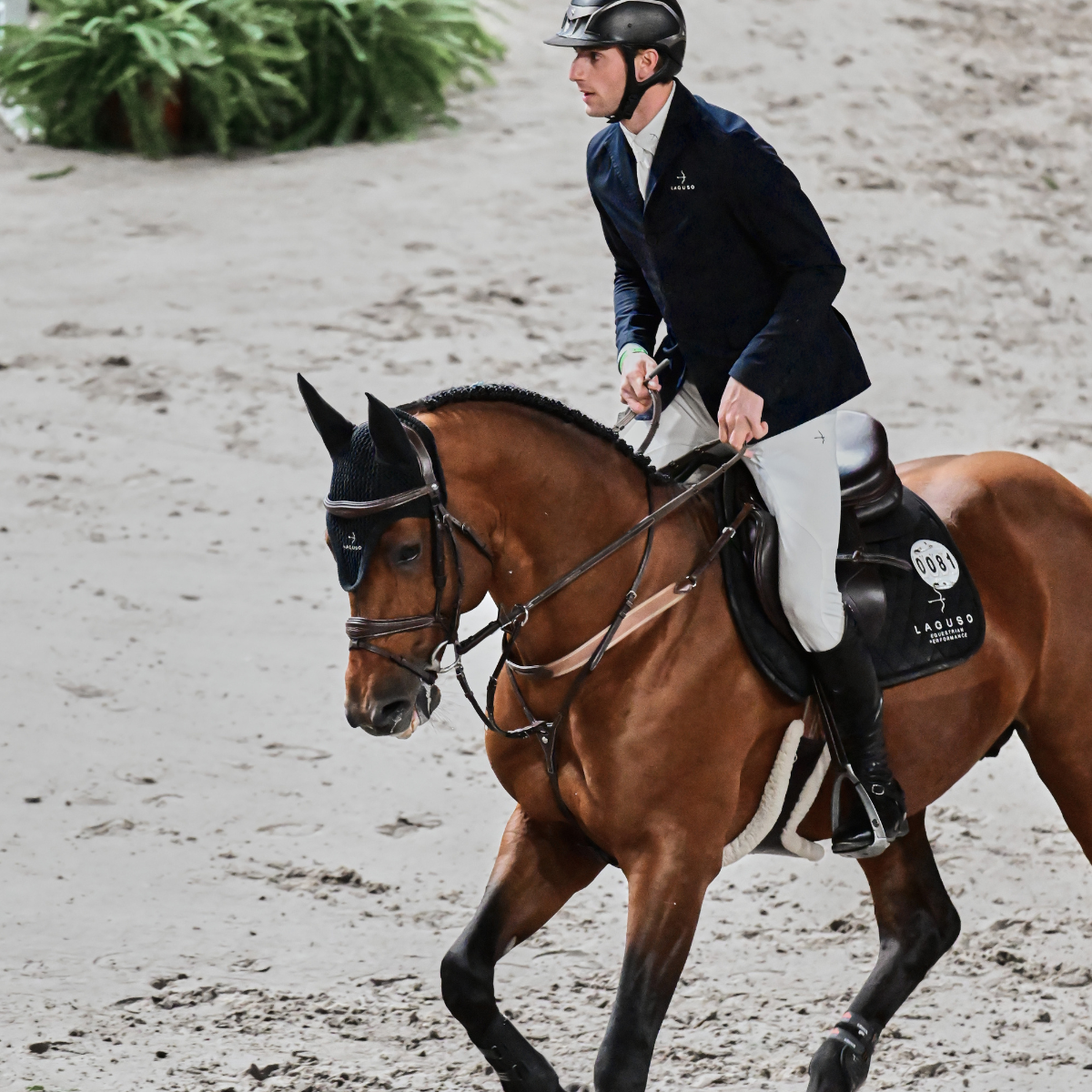 Luxury Jump Saddle Pad in Black by LAGUSO - Strēid. Premium horse saddle pad with raw cotton filling for comfort and durability.

