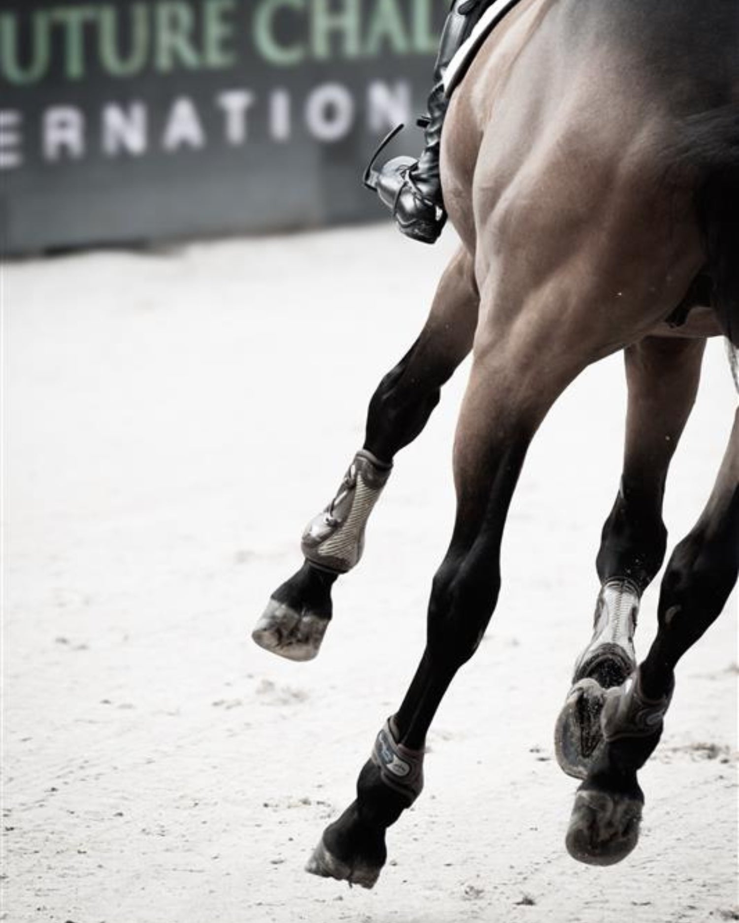 Ryde_-_STR_ID._Lightweight_650g_vegetable-tanned_leather_high-position_breastplate_with_detachable